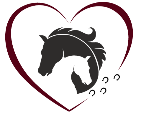 Spirithof – Lernen mit Pferden